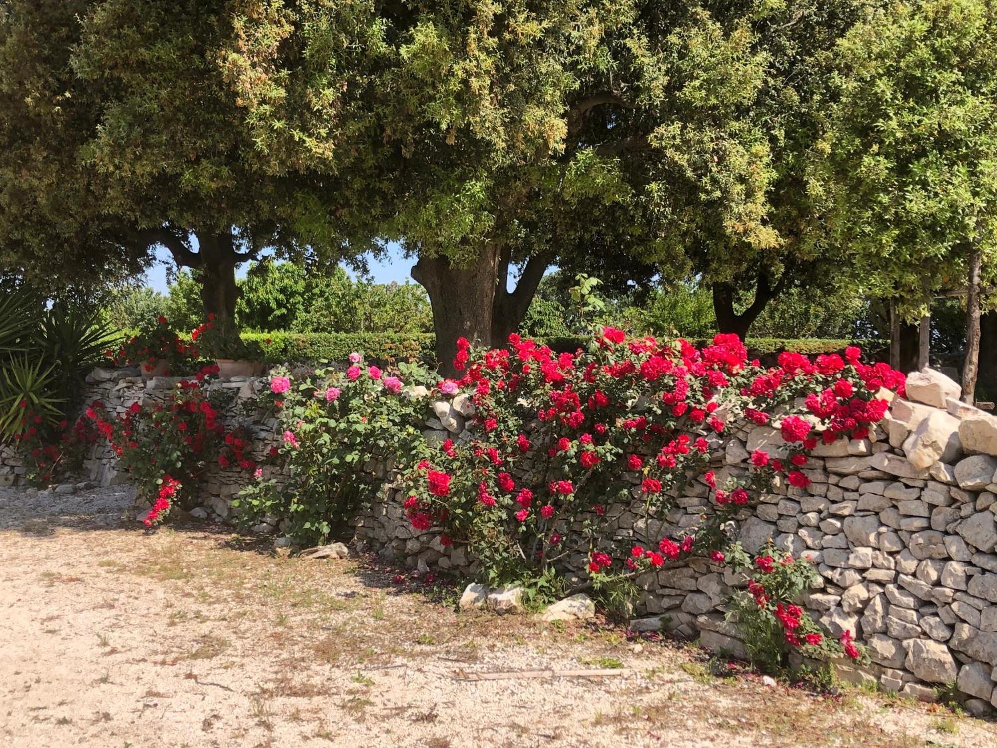 Ai Pilieri Di Bagnoli Villa Castel Del Monte  Luaran gambar