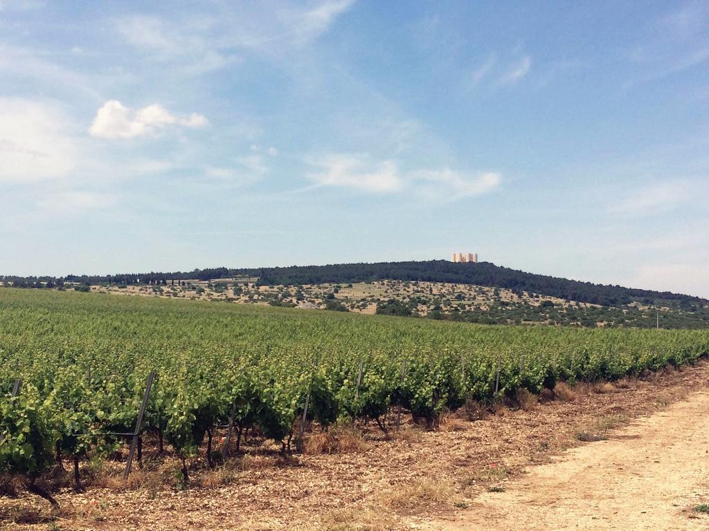 Ai Pilieri Di Bagnoli Villa Castel Del Monte  Luaran gambar
